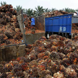 Malaysias Weg an die Spitze