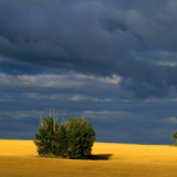 Wettlauf um Kanadas Agrargüter