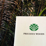 Turnaround von Precious Woods im Abschluss