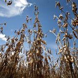 Investmentbanken suchen nach neuer Rolle