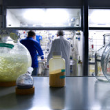 Der Druck steigt für Actelion 