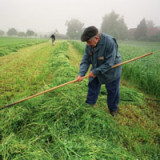 Versicherern steht ein riesiger Langlebe-Markt offen