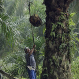 Manila schlägt Hongkong