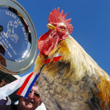 Was führt Frankreich im Schilde?