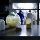 Kritik am Nein von BB Biotech an Vontobel