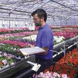 Syngenta auf Kurs zu Rekordergebnissen