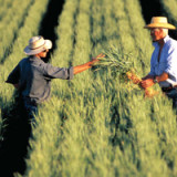 Agriums fordernder Grossaktionär