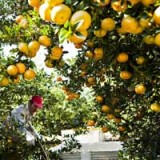 Givaudan ist gerüstet