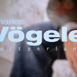 Vögele bleibt im Käfig gefangen