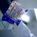 Suche nach neuem Geld in Biotech-Branche