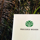 Precious Woods stürzt ab