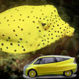 Die Natur ist unschlagbar