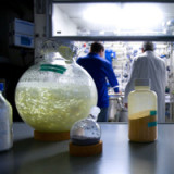 Vontobel hofft auf BB Biotech