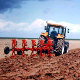 Bucher nutzt Chancen und ist agil