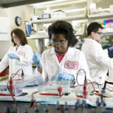 IFF fusioniert mit DuPont-Sparte