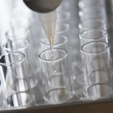 Molecular Partners fühlt sich wohl in Privathand