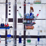 Roche wird Dampf machen
