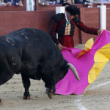 IWF erkennt Sanierungserfolge