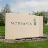 Monsanto erwartet gutes 2013