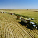 Anlagen in Agrarrohstoffe sind nicht ohne Tücken