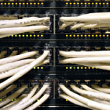 Cisco Systems mit gutem US-Geschäft