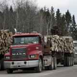 Durchwachsene OECD-Indikatoren