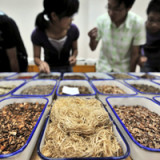 Nestlé will China-Medizin nutzen