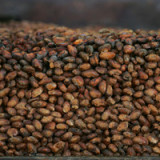 «Es ist ein stattlicher Preis, aber er ist es wert»