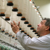 Die Überflieger von 2012 und Chancen für 2013