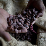 Barry Callebaut verfehlt die Erwartungen