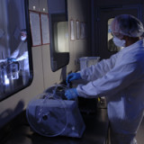 Cosmo Pharmaceuticals kommt in die Erntephase