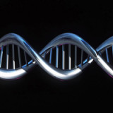 Illumina-Aktien fallen wegen Roche-Absage