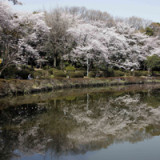 Japans Regierung plant Investitionen in Milliardenhöhe