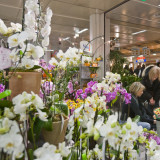 Schweizer Einzelhandelsumsatz ist gestiegen