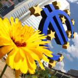 «Die EZB übertüncht die ungelösten Probleme»