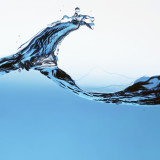 Falsche Sektoren tragen die Hausse