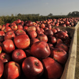 Der Agrarhandel ist in Aufruhr