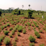 «Von Gramm auf Tonnen»