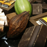 Barry Callebaut expandiert in Ecuador