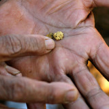 «Endphase einer Goldpreisblase»