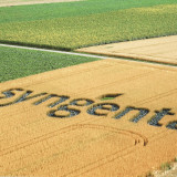 «Es ist ein Privileg, in China zu sein»