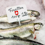 Neue Freihandelsabkommen für die Schweiz