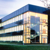 AMS wächst noch langsamer