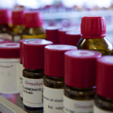 Givaudan wird eine Margensteigerung melden