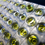 Roche stärkt Bluttest-Geschäft