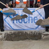 Roche erleidet Rückschlag