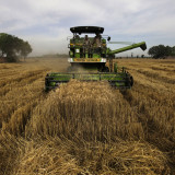 Und wieder droht der «Sudden Stop»