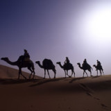 Reisedienstleister Kuoni kommt in Fahrt