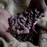 EU-Ja für Barry Callebaut