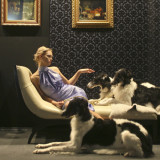 Statuswettbewerb, Ungleichheit und Finanzkrise